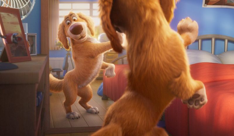 The Voice Behind the Characters – Animated Roles That Shine