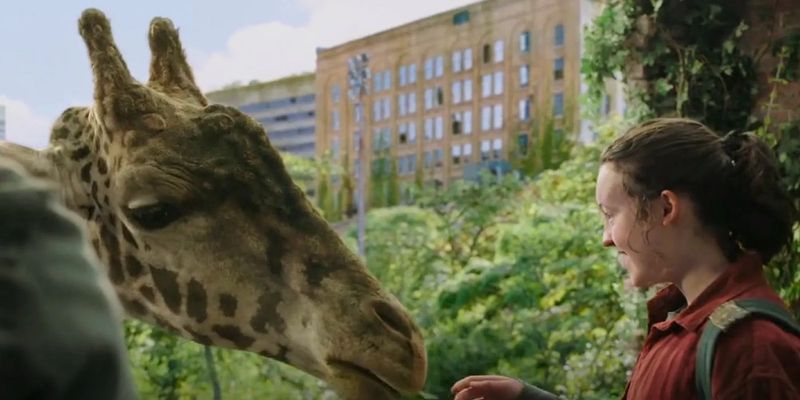 The Giraffe Easter Egg