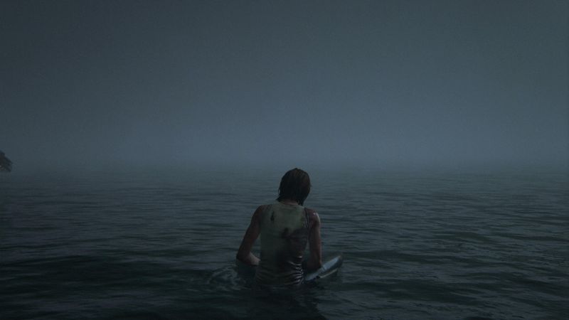 The Final Shot’s Ambiguity