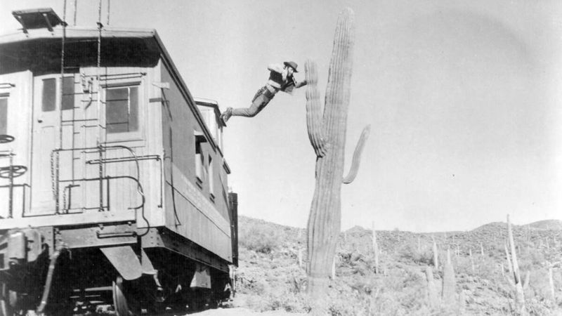 Innovative Stunt Work