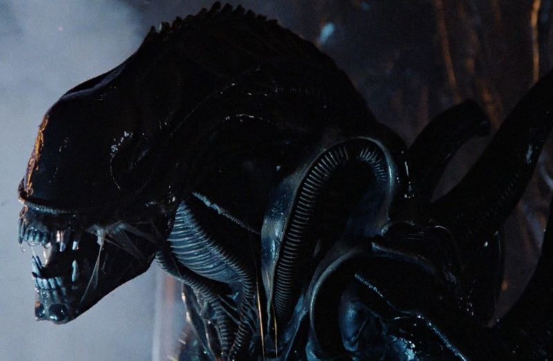 Xenomorph from Alien
